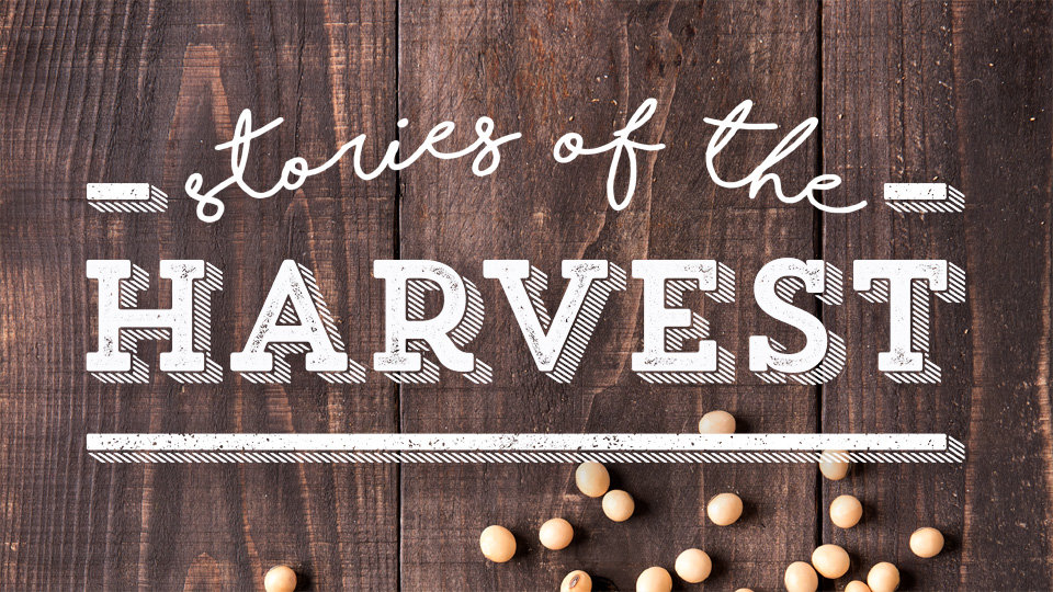 Stories of the Harvest